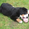 Photo de Shadoow