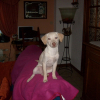 Photo de Fiona