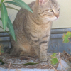 Photo de Bella
