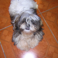 Photo de profil de Edelweiss