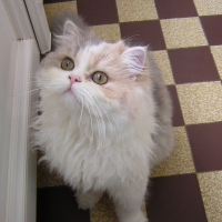 Photo de profil de Ange
