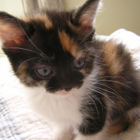 Photo de profil de Noisette