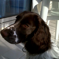 Photo de profil de Fille