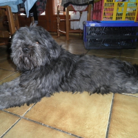Photo de profil de Bounty