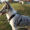 Photo de Ghost