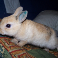 Photo de profil de Canelle