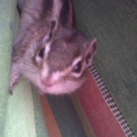 Photo de profil de Winnie