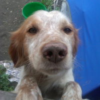 Photo de profil de Benji