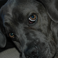 Photo de profil de Angel