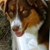 Photo de Kali