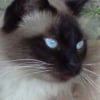 Photo de Bouba