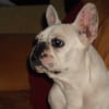 Photo de Lolita