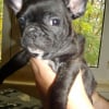 Photo de Chanel