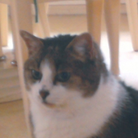 Photo de profil de Mimie