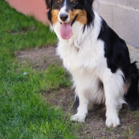 Photo de profil de Etincelle