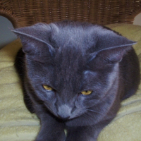 Photo de profil de Mathilda