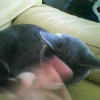 Photo de Chausette