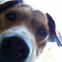 Photo de profil de Pluton