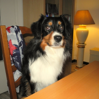 Photo de profil de Holly black