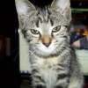 Photo de Arthas