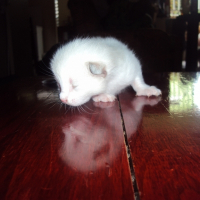 Photo de profil de Miki