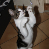 Photo de Iona