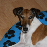 Photo de profil de Chanel