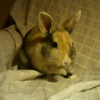 Photo de Yuki