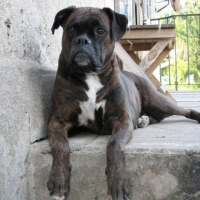 Photo de profil de Juluka
