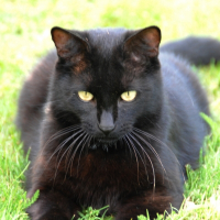 Photo de profil de Eole