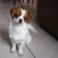 Photo de profil de Cannelle