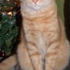 Photo de Bouba