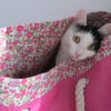 Photo de Bella