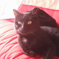 Photo de profil de Titi
