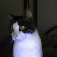 Photo de profil de Clochard
