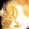 Photo de Eros