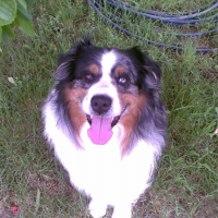 Photo de profil de Twister