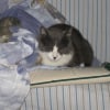 Photo de Winnie