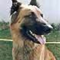Photo de profil de Asgardr de walhalha