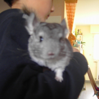 Photo de profil de Guinness
