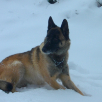 Photo de profil de Vicky