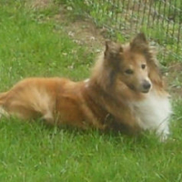 Photo de profil de Snooka