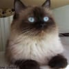 Photo de Telma
