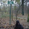 Photo de Bolson noir des tibidoums
