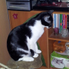 Photo de Filou