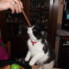 Photo de Pepette