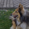 Photo de Oxy de charlène