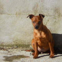 Photo de profil de Jessy