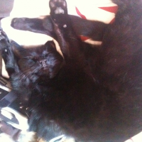 Photo de profil de Lili