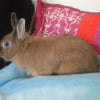Photo de Anouchka